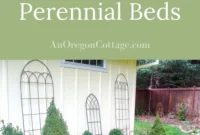 Spring Garden Cleanup and Weeding Guide