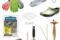 14 Key Tools for Garden Success