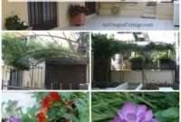 Mediterranean Muses: Greek Gardens