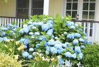 Instant Cottage Charm: Simple Exterior Updates for Every Home