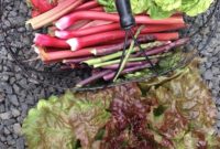 June Garden Planner: Plant and Pick