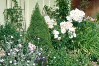 11+ Effortless Cottage Garden Blooms You Can Grow