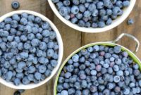 The Definitive Blueberry Sourcebook: Cultivation, Preservation and Culinary Uses