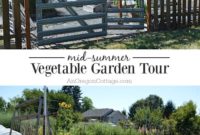 A Journey Through My Raised Bed Garden