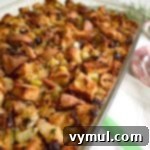 Savory & Sweet Sausage Cranberry Stuffing Dressing details