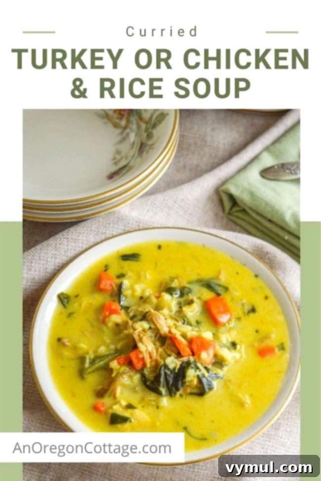 curried turkey or chicken rice soup