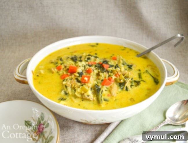 turkey-rice curry soup in tureen