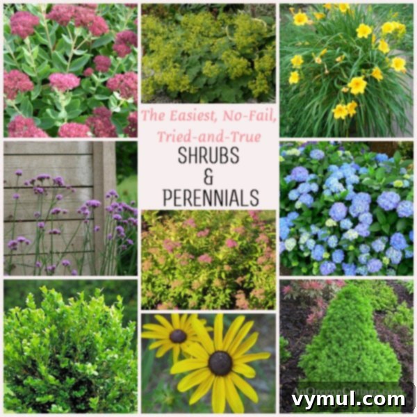 The Easiest No-Fail Tried-and-True Shrubs and Perennials - An Oregon Cottage