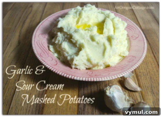 Garlic & Sour Cream Mashed Potatoes - A flavorful and comforting side dish recipe from An Oregon Cottage.