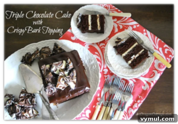 Triple Chocolate Cake with Crispy Bark Topping - A decadent homemade cake recipe for chocolate lovers.