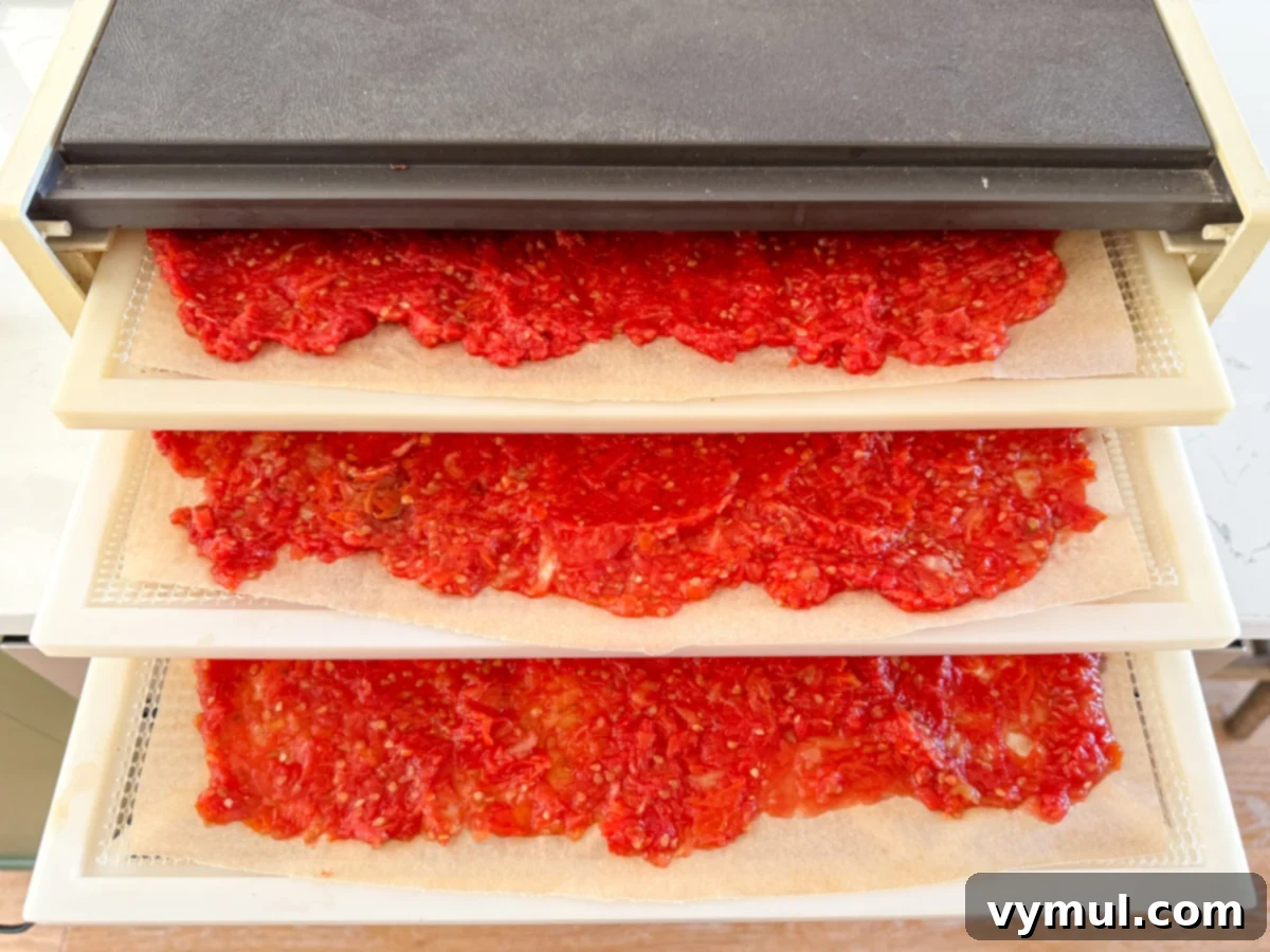 Simple Homemade Pizza Sauce for Canning Fresh or Frozen Tomatoes 6 tomato pulp on dehydrator trays
