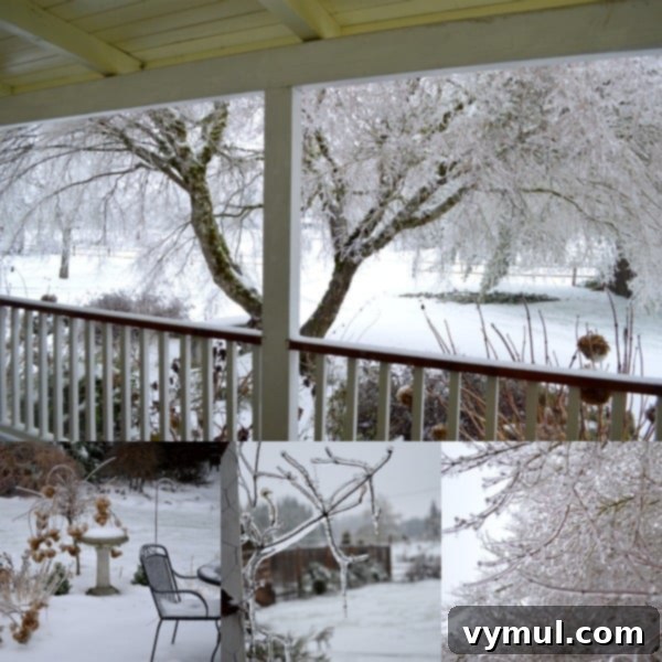 Winter's Icy Grip: 2014 2 Ice Storm 2014 - An Oregon Cottage