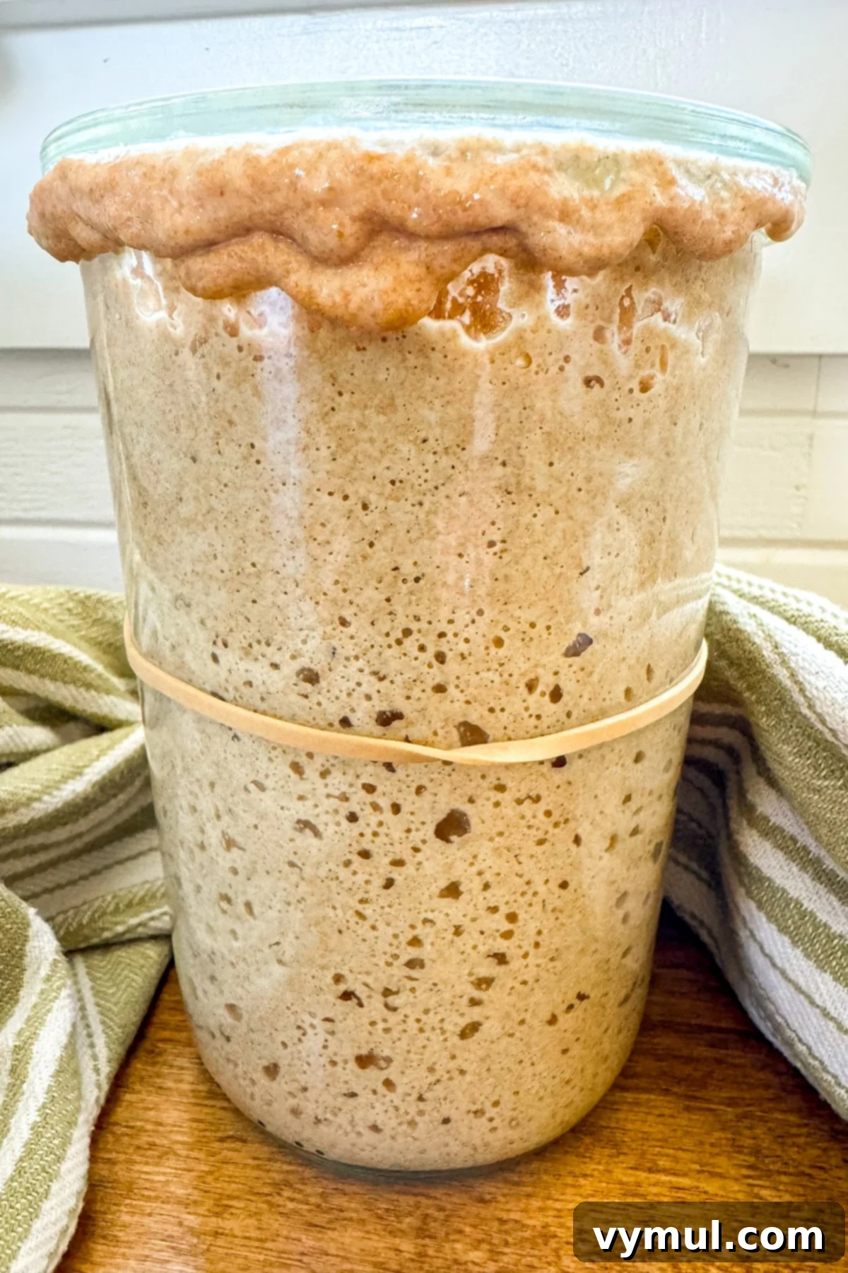 Easy Sourdough Starter Recipe to Grow, Keep, and Use 2 Bubbling over sourdough starter in a large glass jar, indicating active fermentation.