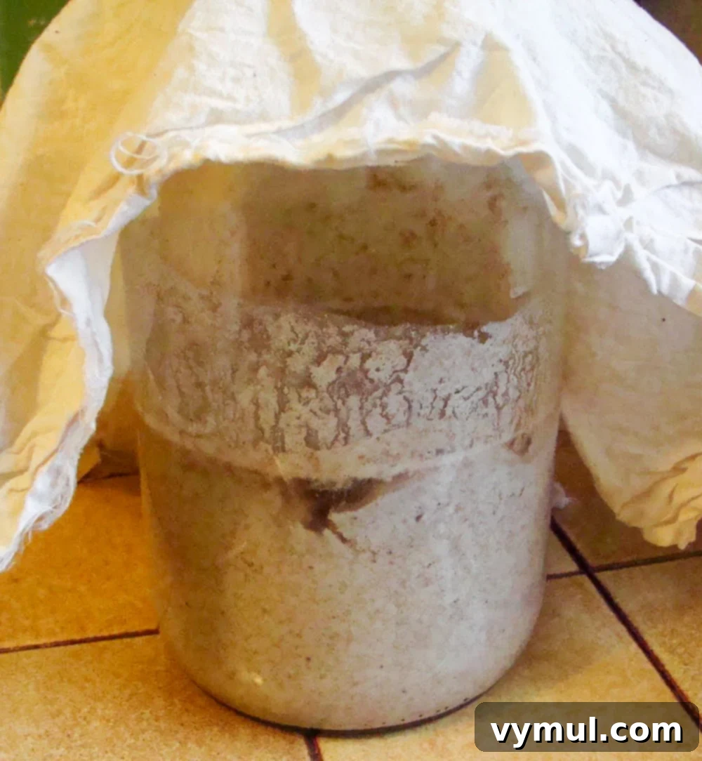 Easy Sourdough Starter Recipe to Grow, Keep, and Use 4 Sourdough starter in a jar on day 2, showing initial separation, a normal part of the fermentation process.