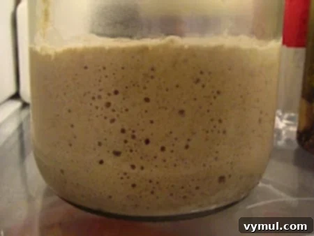 Easy Sourdough Starter Recipe to Grow, Keep, and Use 5 Sourdough starter stored in a glass jar in the refrigerator, ready for its next feeding and baking session.