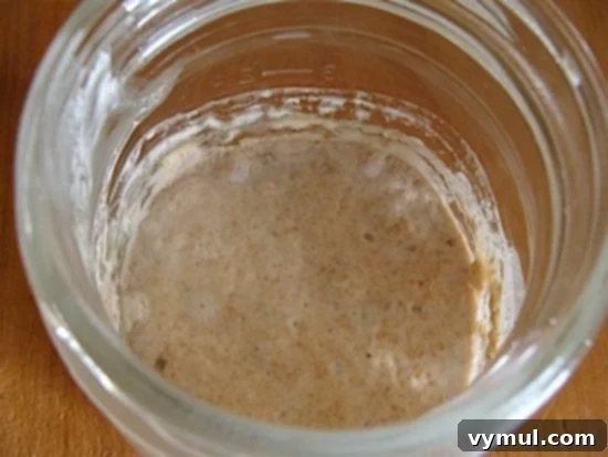 Easy Sourdough Starter Recipe to Grow, Keep, and Use 6 Close-up of the top of a sourdough starter after refrigeration, showing white bubbles formed in the liquid. This is not mold, but a normal sign of fermentation during storage.
