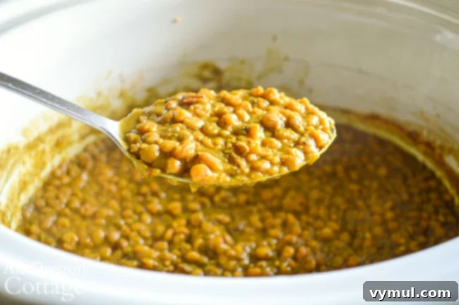 Bacon Lentil Curry with Golden Cabbage 5 Close-up of lentils simmering gently, highlighting the cooking process before the addition of browned cabbage.