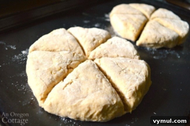 Close-up of cut maple oat scone dough on a baking sheet, showing texture before baking