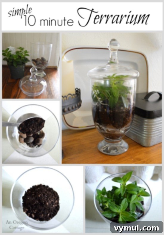 Revamp Your Space for Spring: Decor & A Quick Terrarium 4 Simple 10-Minute Terrarium DIY - Creating a Miniature Ecosystem at Home