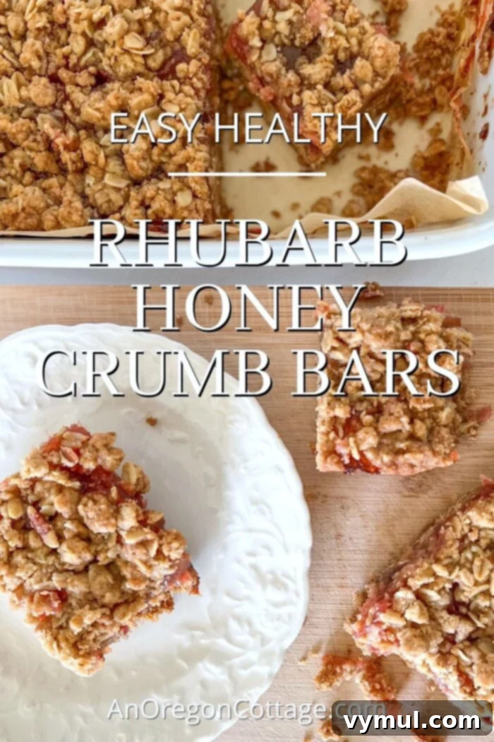 healthy rhubarb honey crumb bars-above on plate