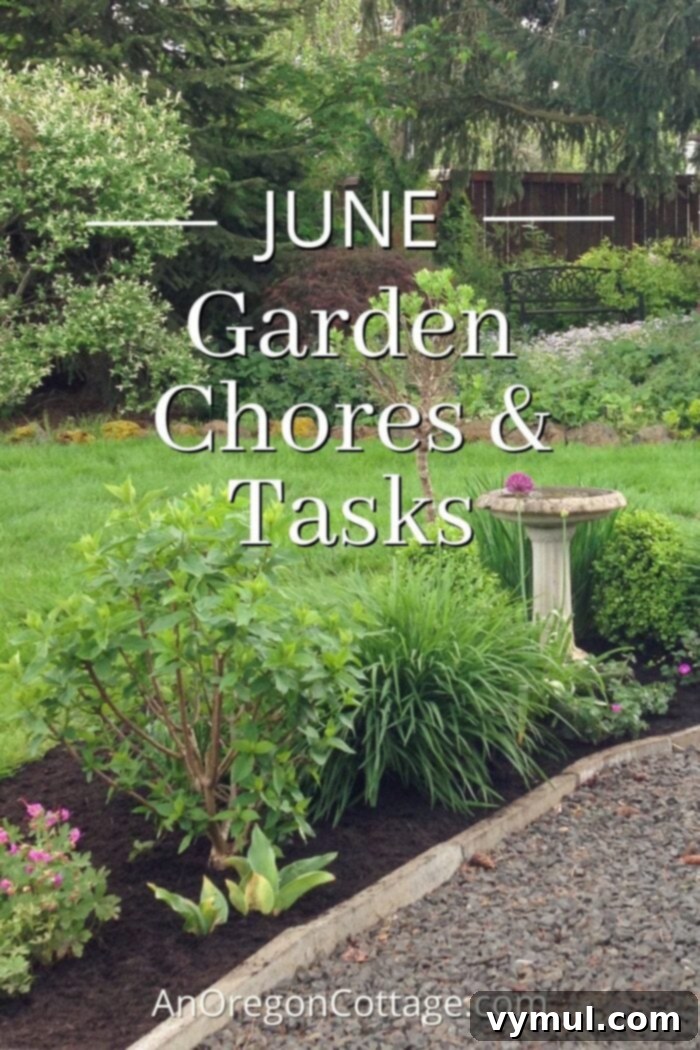 June Gardening Guide PNW Edition 2 June garden chores-garden bed in June, showcasing vibrant growth and a healthy summer garden landscape.