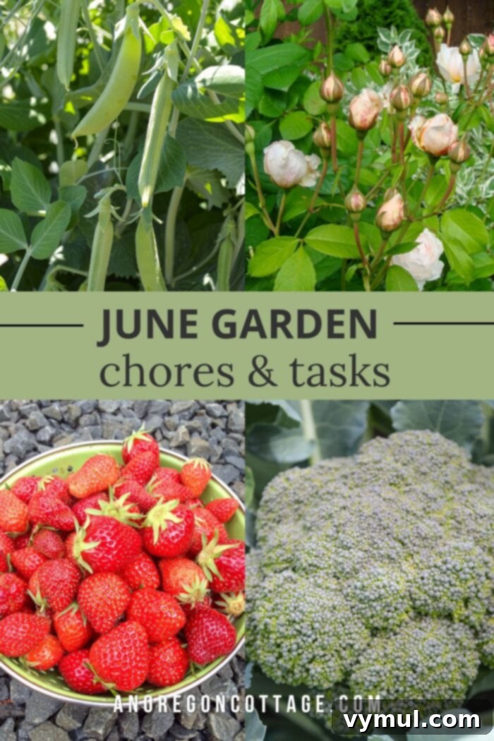 June Gardening Guide PNW Edition 6 June garden tasks_pin image, a visual summary of essential gardening chores for the month.