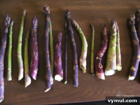 Mastering Asparagus: From Planting to Plate and Beyond 5 Thick and thin asparagus spears ready for cooking.