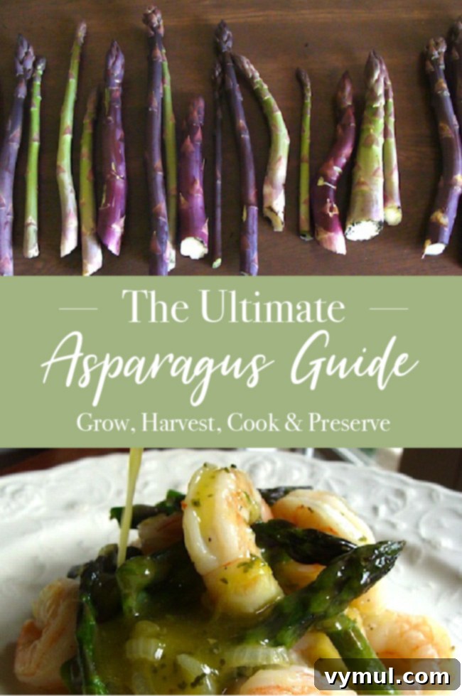 Mastering Asparagus: From Planting to Plate and Beyond 8 Ultimate Asparagus Guide Pinterest graphic for growing, harvesting, cooking, and preserving asparagus.
