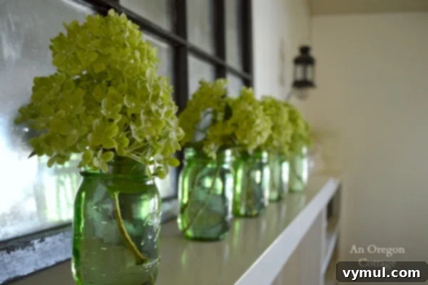 Sun-Kissed Blooms for Your Home 3 Summer Little Lime Hydrangea Mantel - An Oregon Cottage