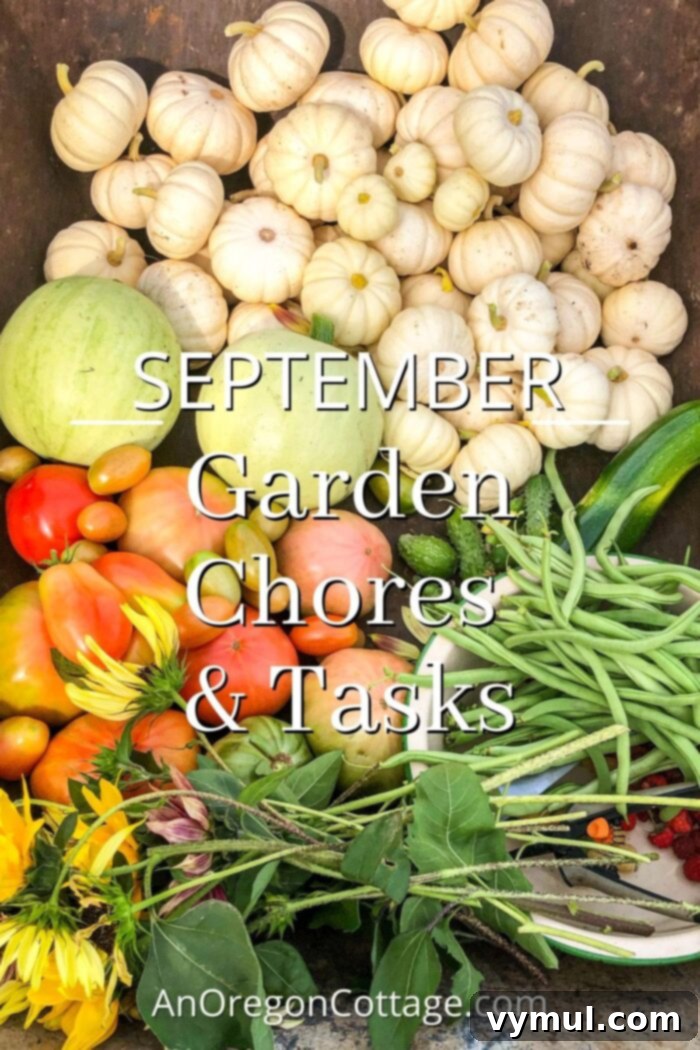 September's PNW Garden Checklist 2 A bountiful September garden harvest featuring various vegetables and fruits, showcasing the richness of late summer and early fall