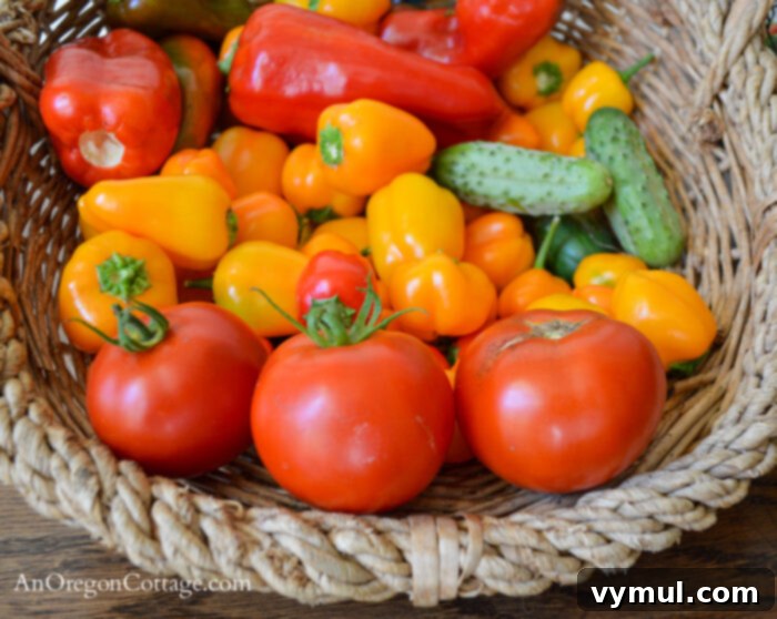 September's PNW Garden Checklist 3 A vibrant basket brimming with freshly harvested peppers, tomatoes, and cucumbers, symbolizing the peak of the garden season.