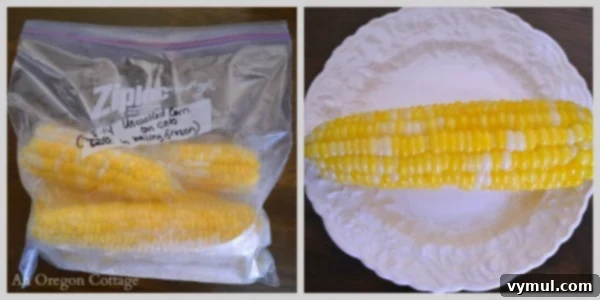The Ultimate Guide to Freezing Corn: Blanched, Raw, and Whole Cob Methods 3 Unblanched whole cobs of corn prepared for freezing