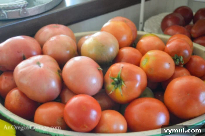 October Garden Checklist for the PNW and Beyond 3 enamel bowl full of ripening tomatoes, illustrating October harvest tasks
