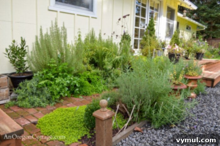 October Garden Checklist for the PNW and Beyond 4 October Herb Garden thriving in fall, showcasing winter preparation