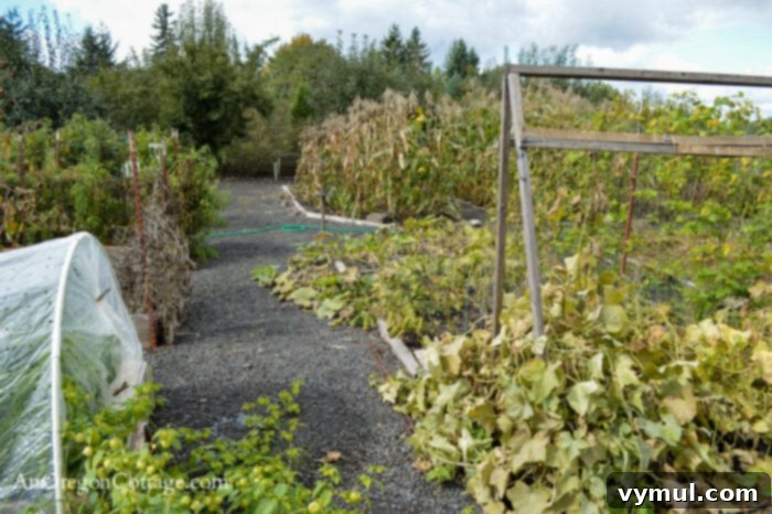 October Garden Checklist for the PNW and Beyond 5 October Vegetable Garden overview in fall with neat borders