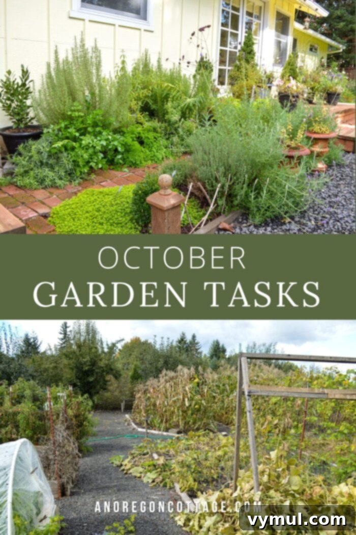 October Garden Checklist for the PNW and Beyond 6 October garden landscape showcasing beautiful fall colors, prepared beds, and overall garden readiness for winter