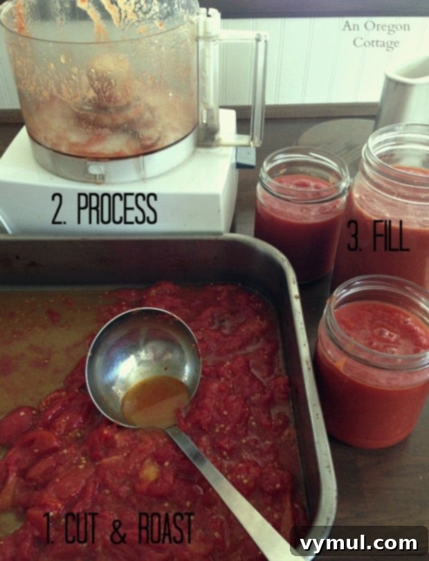 Simple Roasted Tomato Freezer Base 4 Roasting-Processing-Filling Freezer Plain Roasted Tomato Sauce