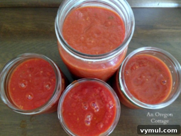 Simple Roasted Tomato Freezer Base 5 Plain Roasted Tomato Sauce to Freeze from above.