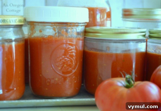 Simple Roasted Tomato Freezer Base 6 Versatile Plain Roasted Tomato Sauce to Freeze jars close