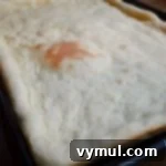 Baked Quick Homemade Pizza Dough