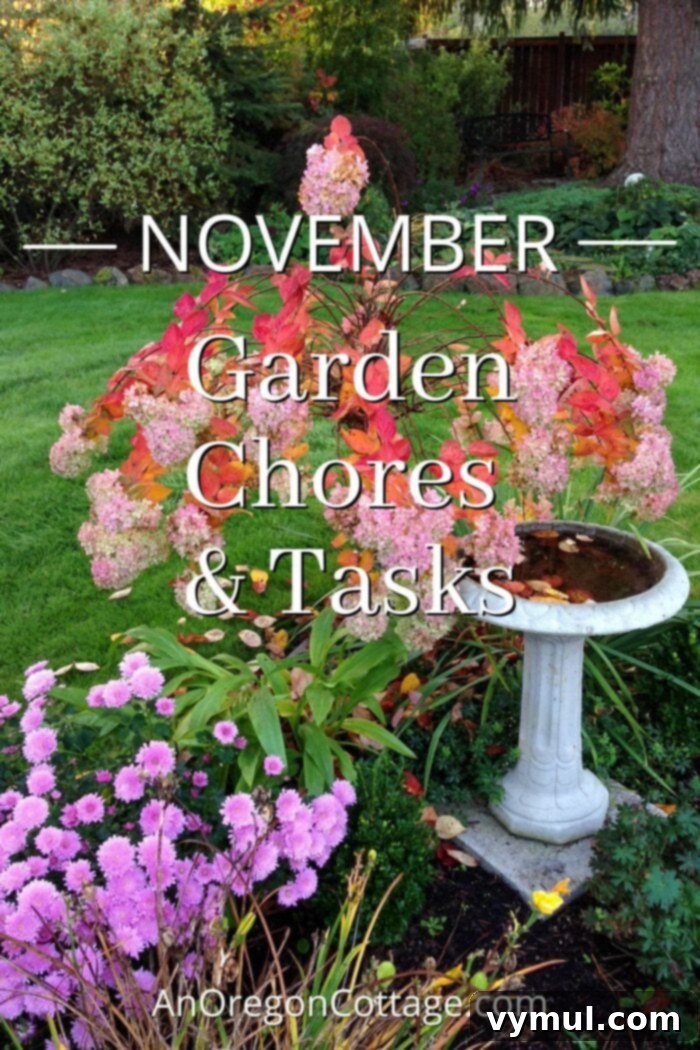 November Garden Prep: A PNW Checklist for Winter 2 November garden chores-hydrangea and birdbath