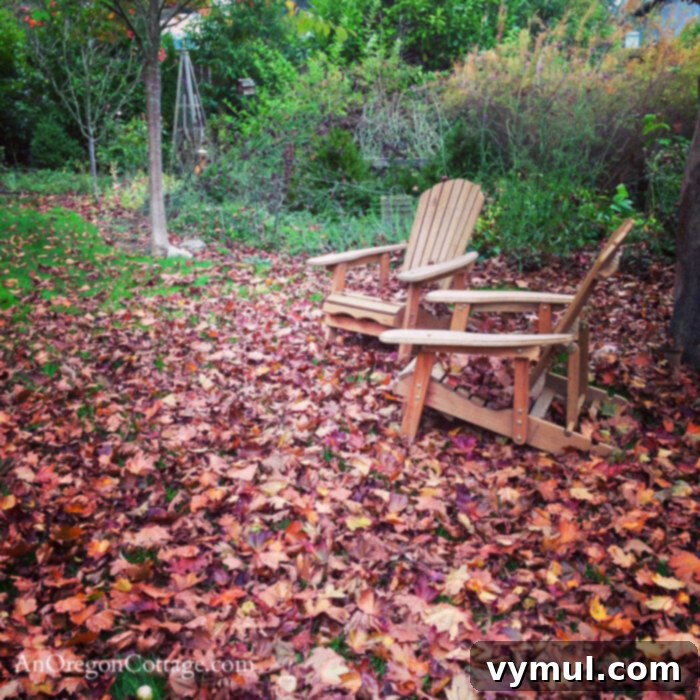 November Garden Prep: A PNW Checklist for Winter 5 Fall leaves with Adirondack chairs