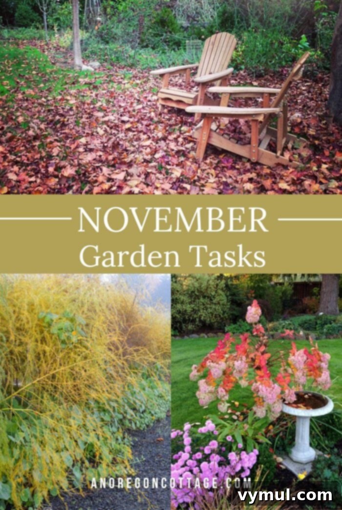 November Garden Prep: A PNW Checklist for Winter 6 November Garden Chores Checklist for Northern Gardens