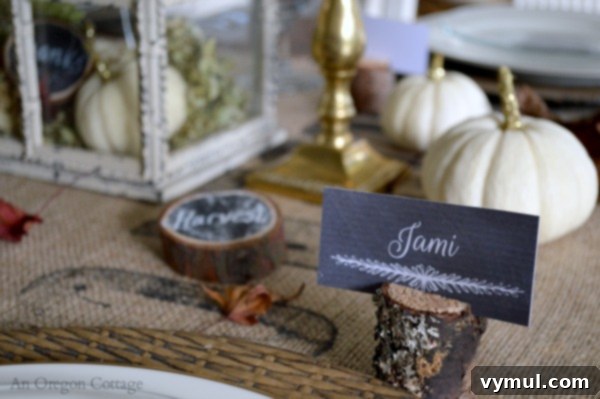 Craft Your Own Rustic Branch Place Card Holders 3 Lichen Covered Tree Branch Wood Card Holder for Fall Decor