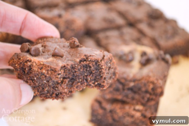 Irresistible Grain-Free Peanut Butter Honey Brownies 5 A single grain-free peanut butter brownie with a bite taken out, revealing its rich, fudgy texture.