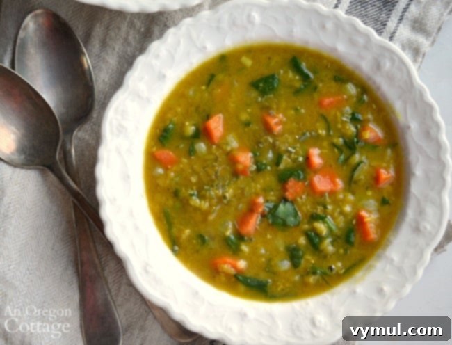 Festive December Dinner Menus 3 Curried Red Lentil Soup bowl above