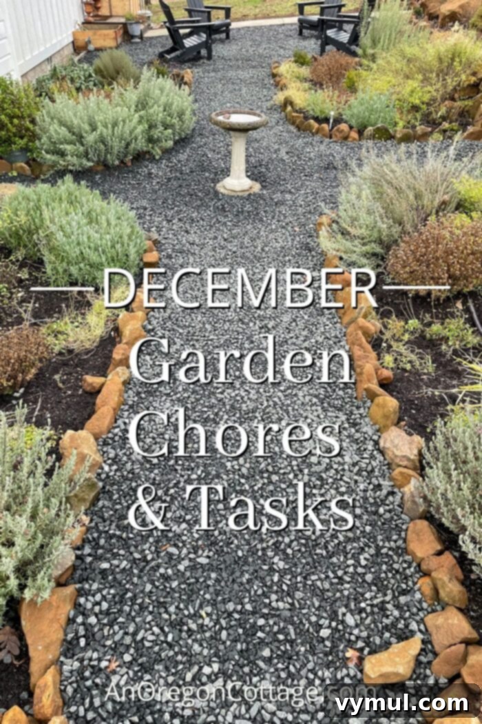 December garden chores-gravel garden