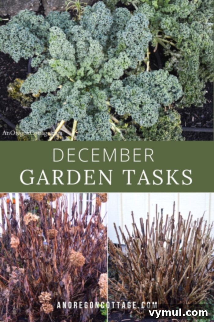 December garden tasks