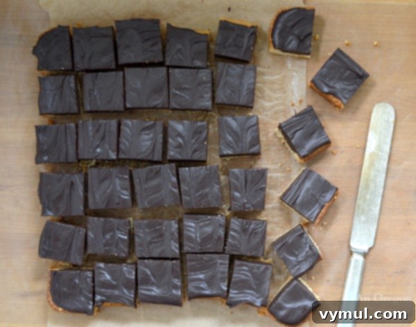 Decadent Grain-Free Almond Chocolate Squares 3 Grain Free Almond Chocolate Truffle Bars - An Oregon Cottage