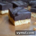 Decadent Grain-Free Almond Chocolate Squares 6 Grain Free Almond Chocolate Truffle Bars